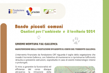 Manutenzione della vegetazione invadente il corso del torrente Gallenca