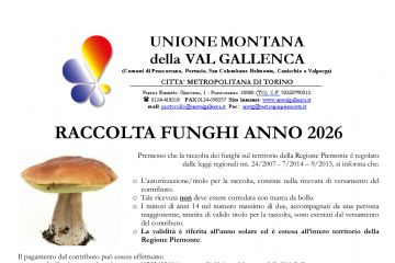 Raccolta funghi anno 2026